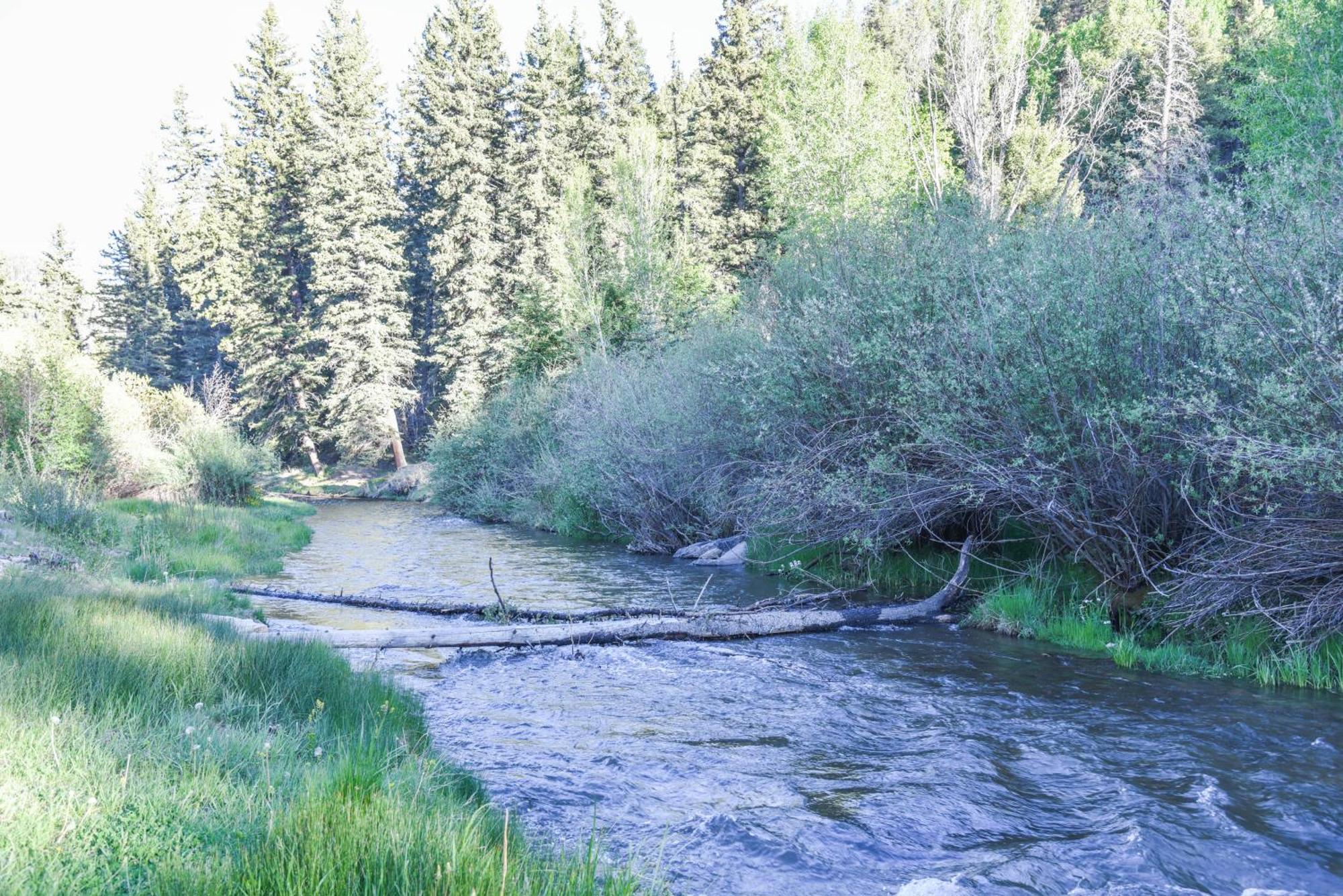 River Lyric Lodge - Formerly Double Dog Ред Ривър Екстериор снимка